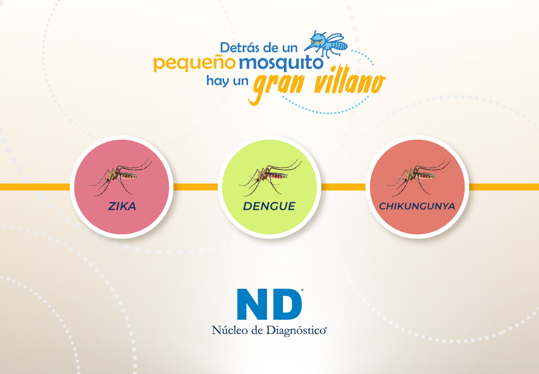 http://www.nucleodediagnostico.com/wp-content/uploads/2022/10/dengue-zika-y-chikungunya.jpg